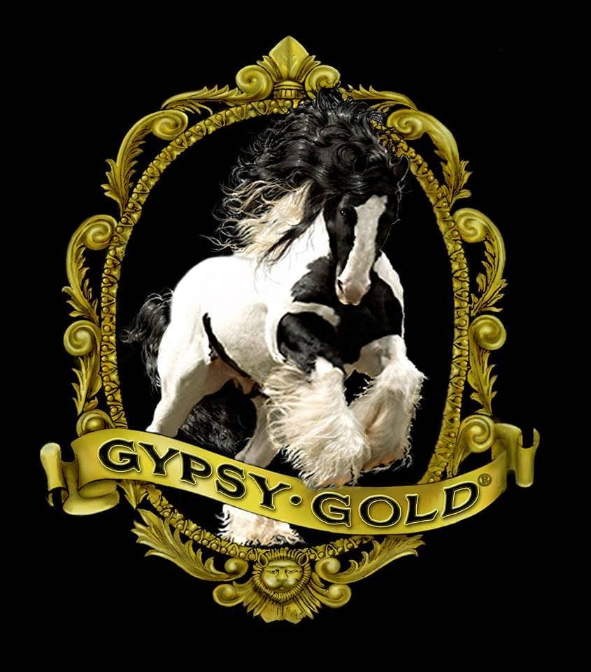 Diverse Animal Encounters