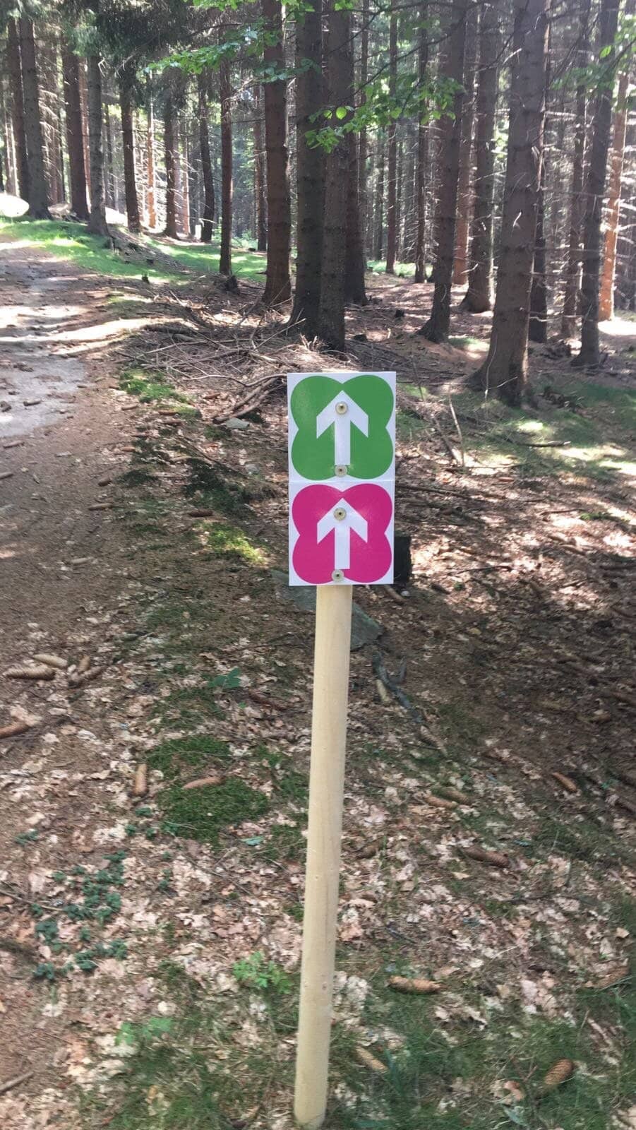 World-Class Biathlon Stadium