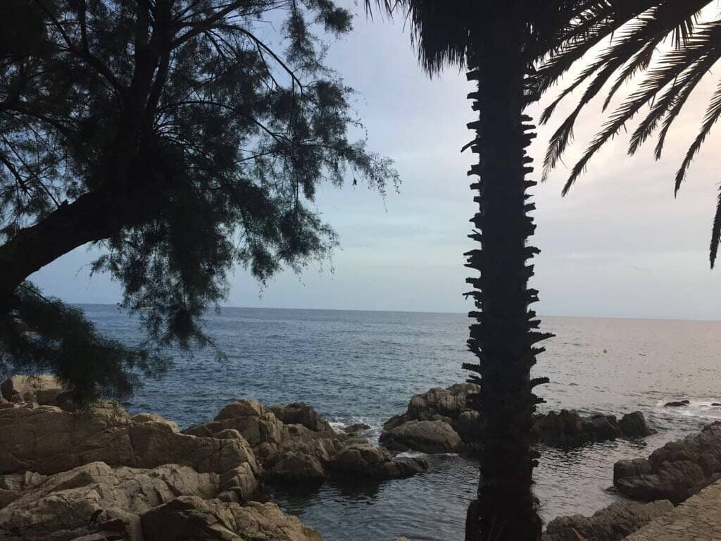 Seaside Bar/Restaurant