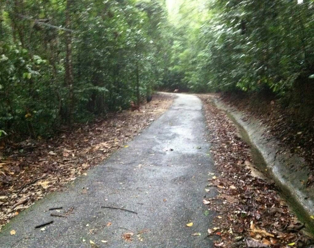Biodiversity Trail