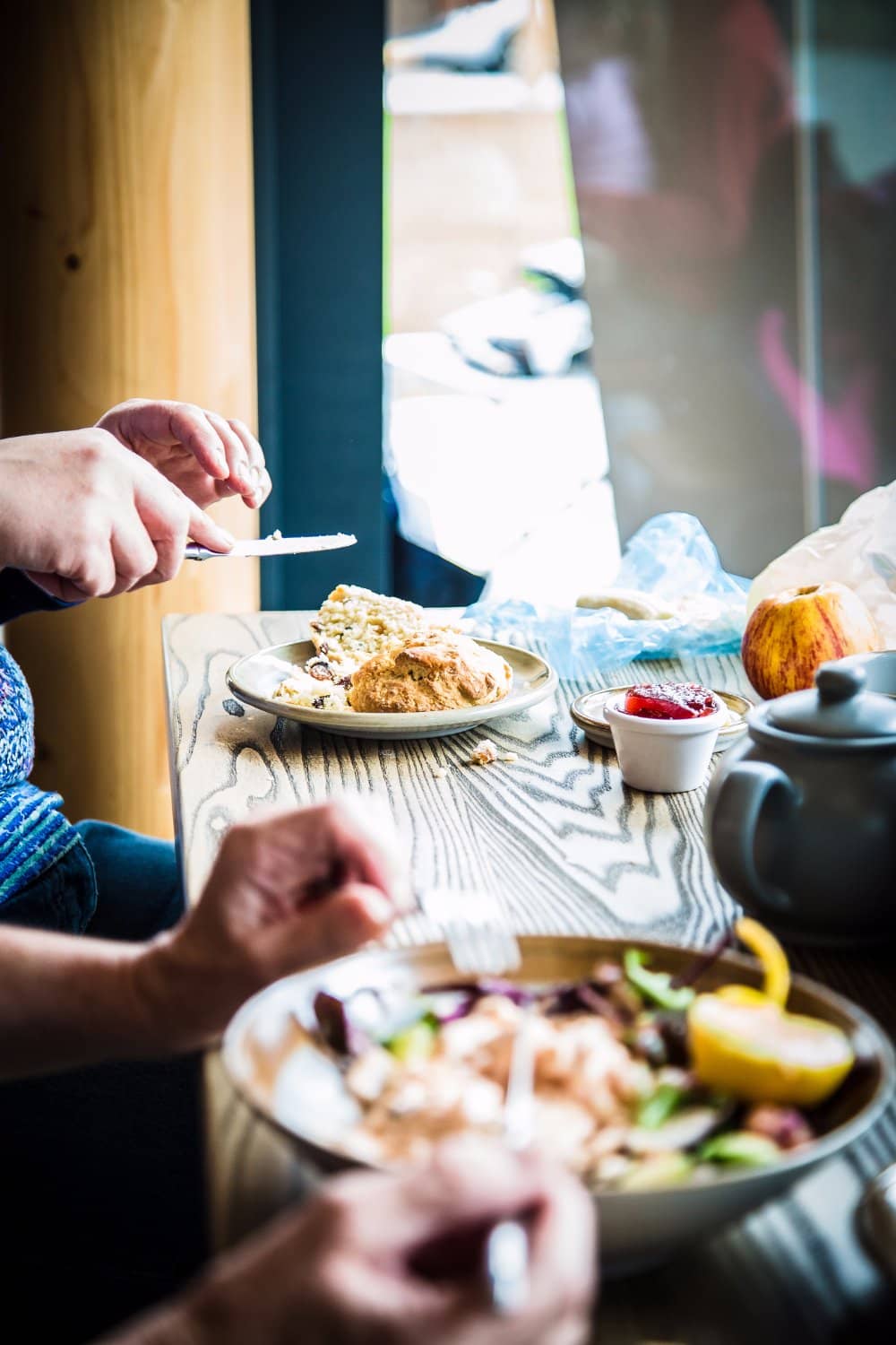 Salmon Jumping Spectacle