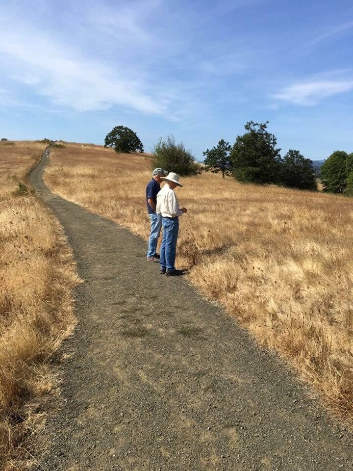 Birdwatching Hotspots