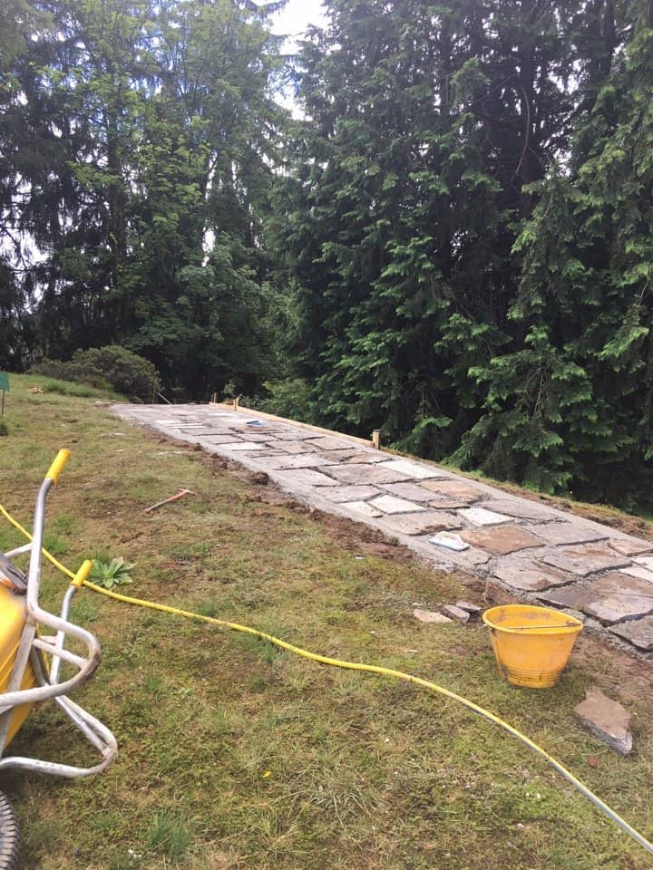 Diverse Alpine Flora