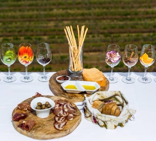 Wine Tasting Experience