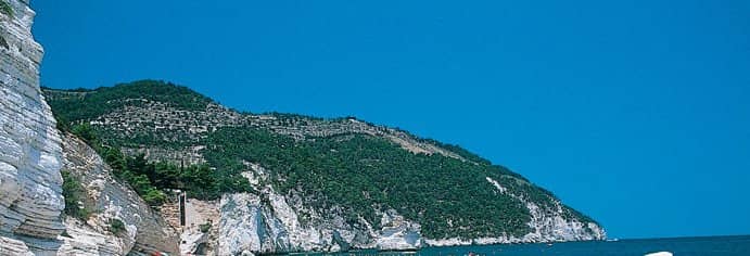 Chic Outdoor Pool Area