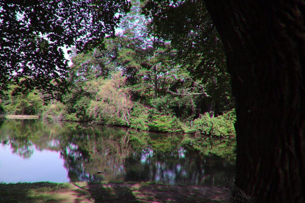 Winter Festival of Lights