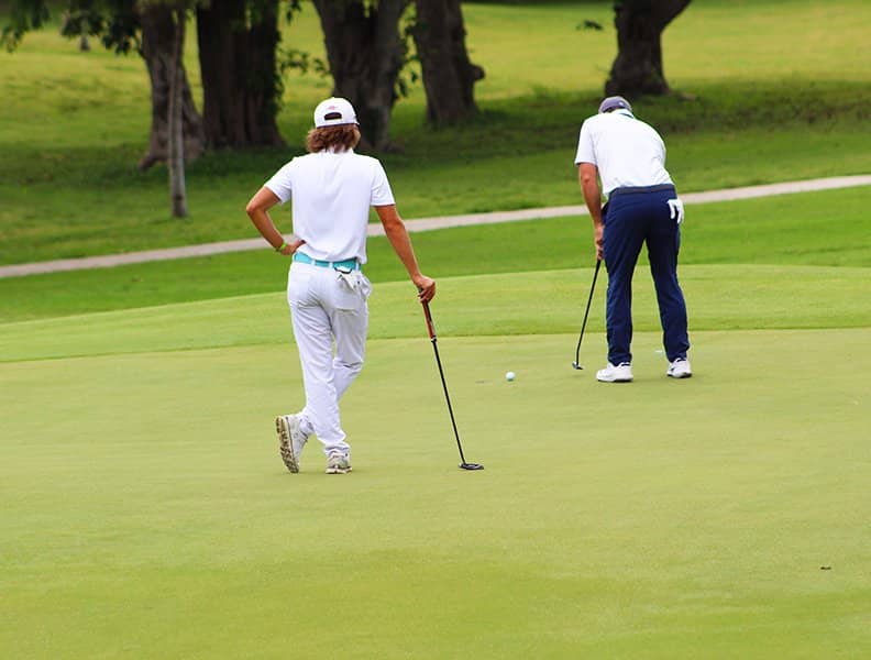 Inland Forest & Waterfall