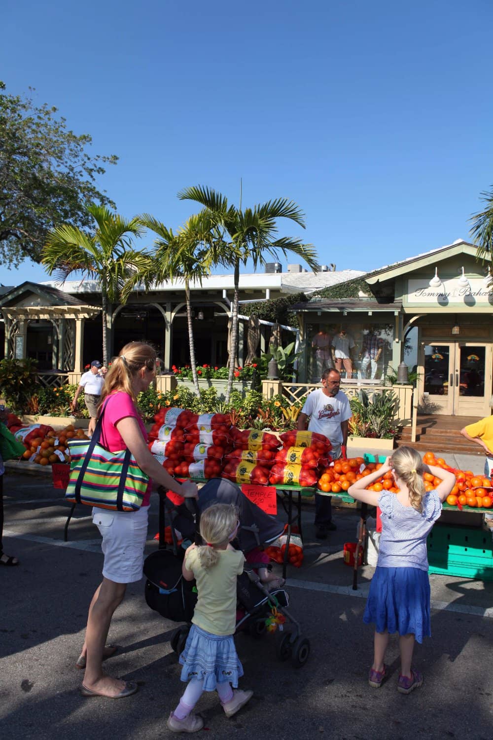 Fresh Local Produce