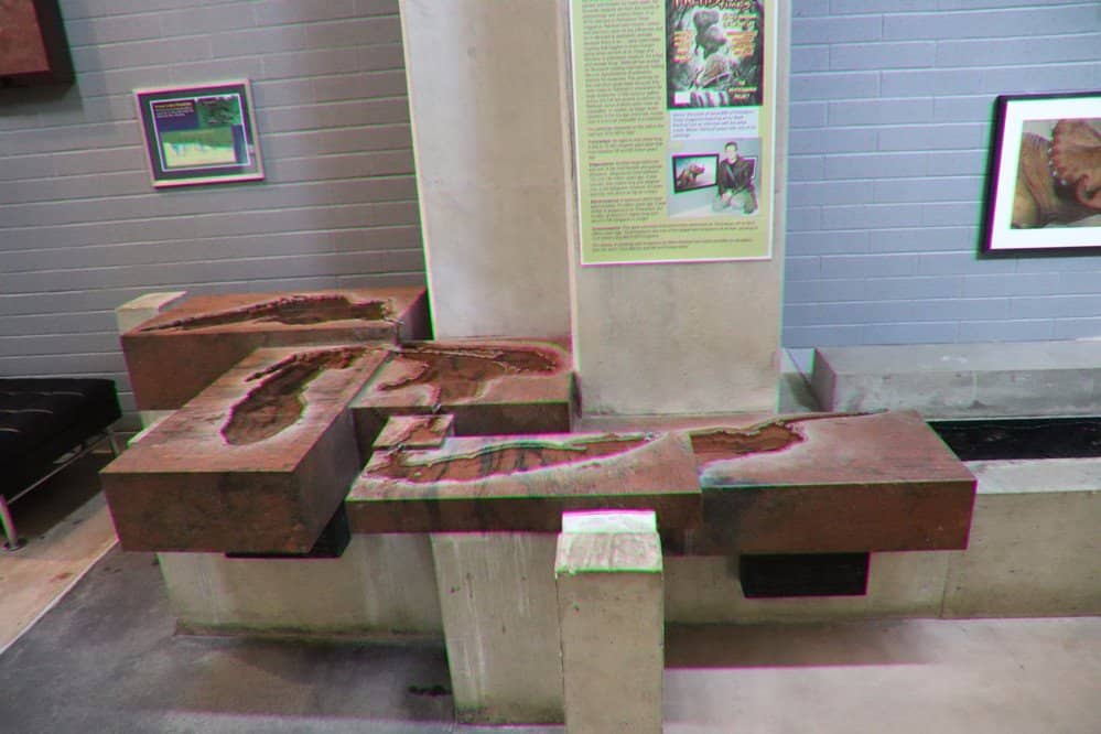 Fossil and Mineral Displays