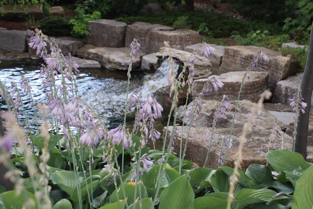 Nature and Serenity