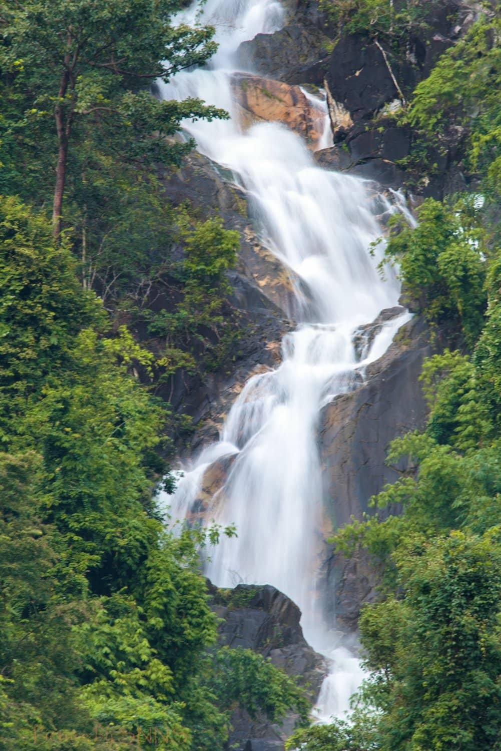 Tier 3 Swimming Pool