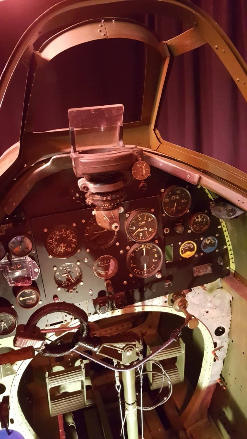 Passionate Volunteer Insights