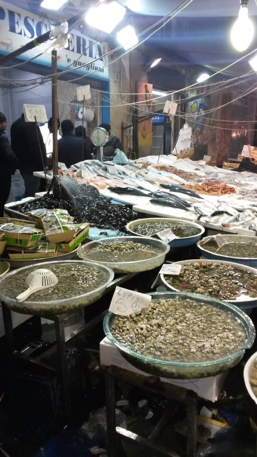 Vintage Fashion Finds