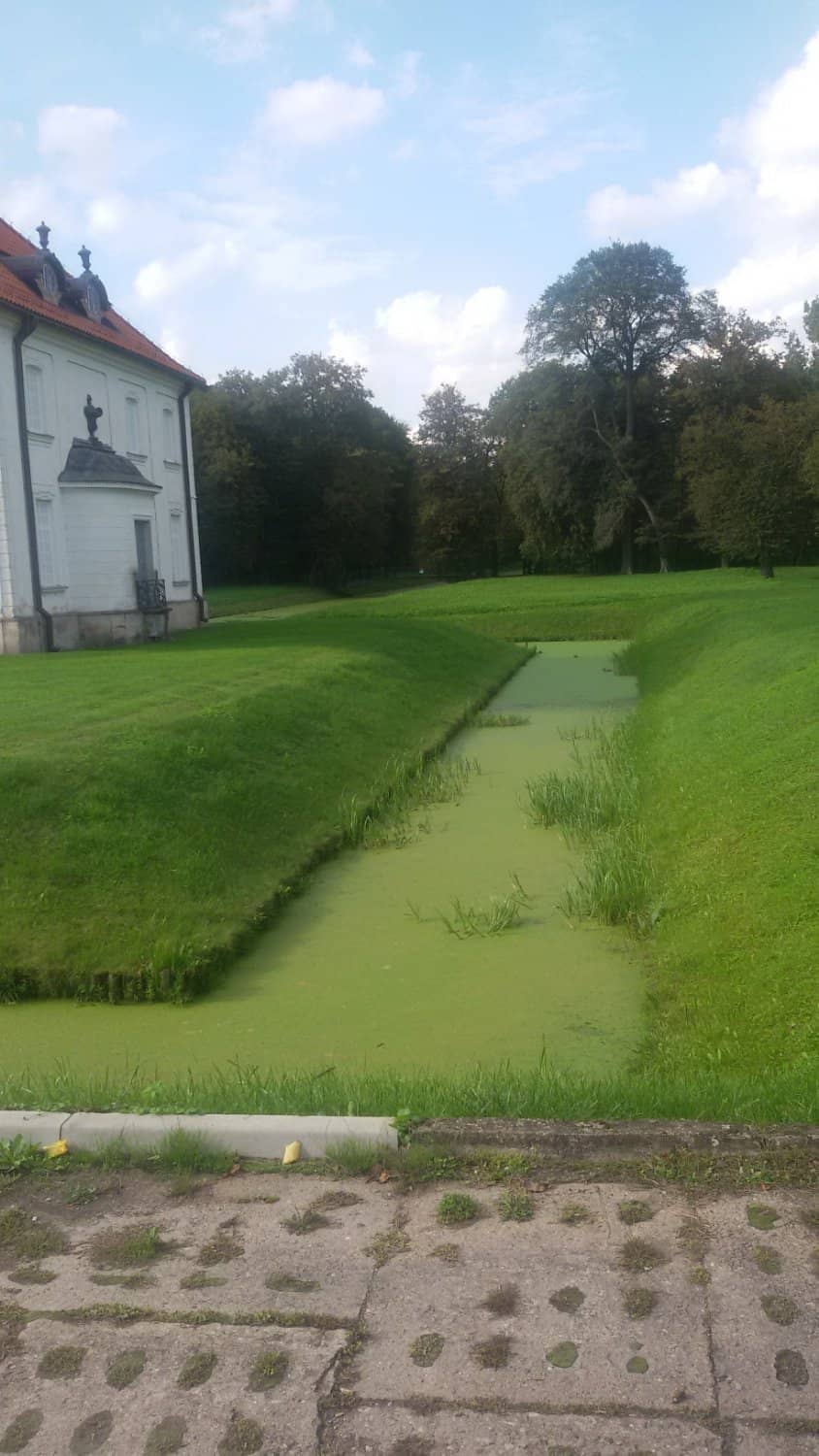 Surrounding Park and Canals
