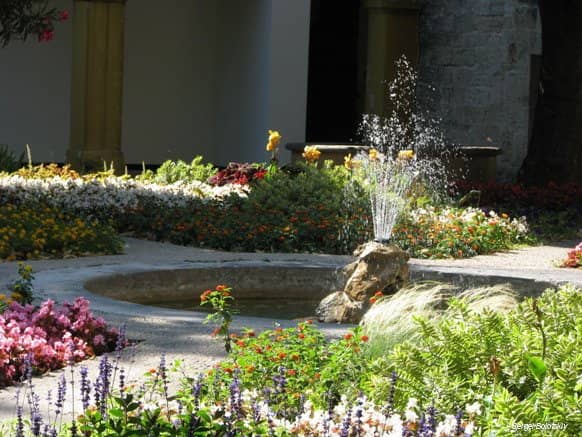 The Tranquil Garden