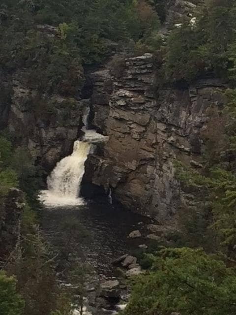 Vertical photo