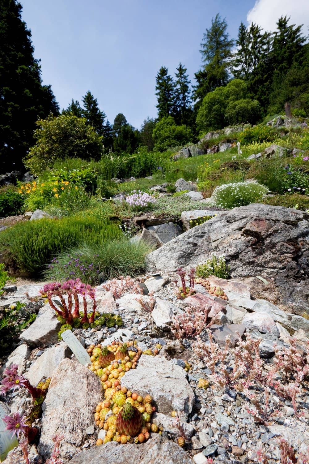 Panoramic Lake Views