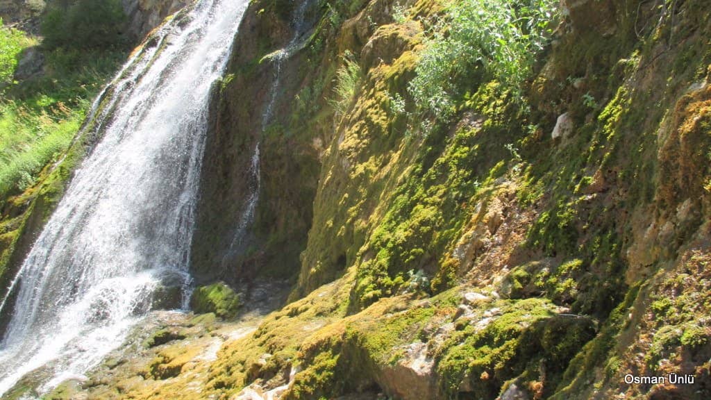 Nature Park Amenities