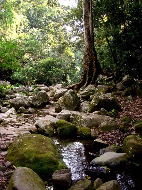 Mount Banahaw Crater