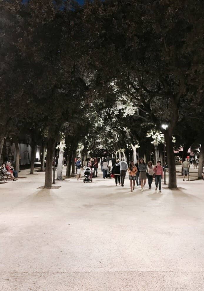 Secular Trees