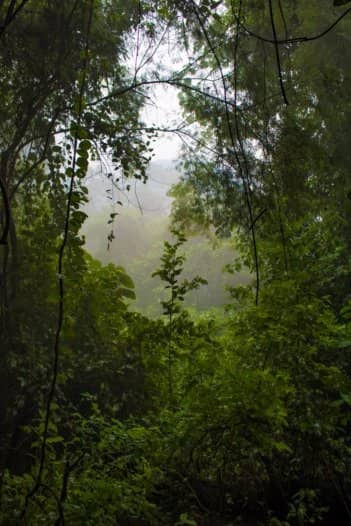 Nature Trails