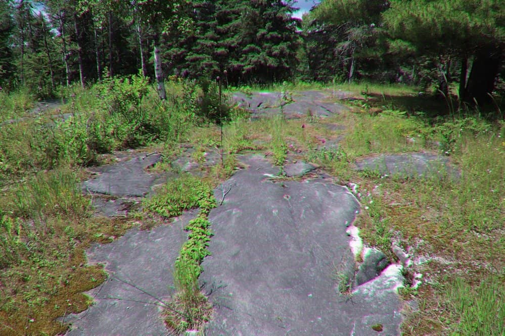 McGinnis Lake's Emerald Hues