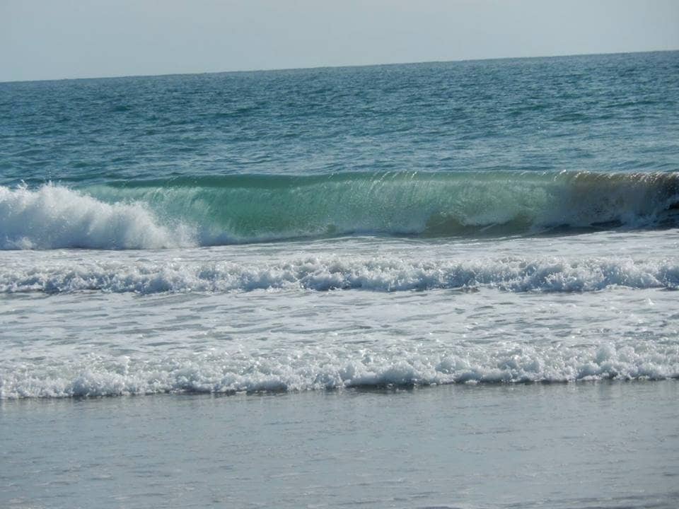 Bolsa Chica Ecological Reserve