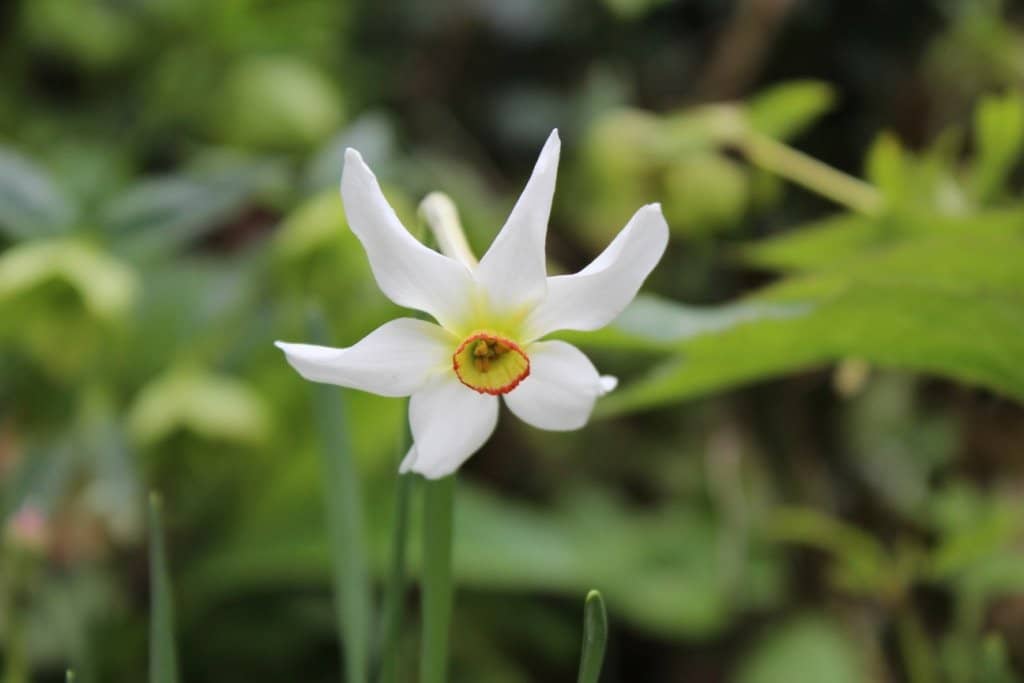 Informative Plant Displays