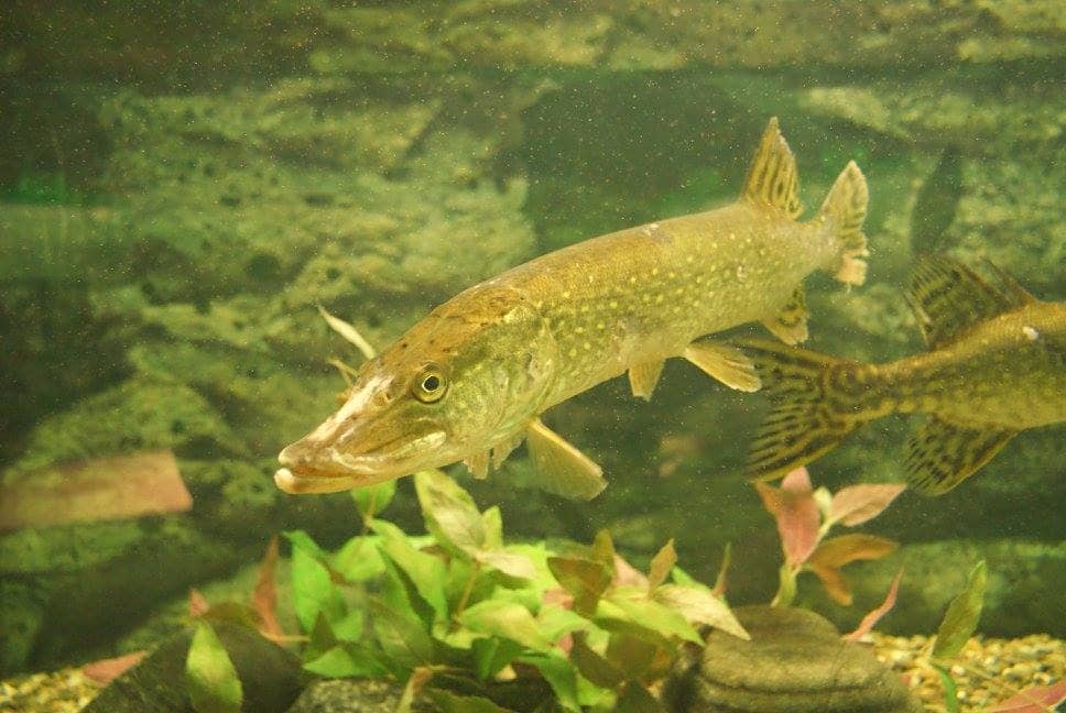 Kid-Friendly Exploration