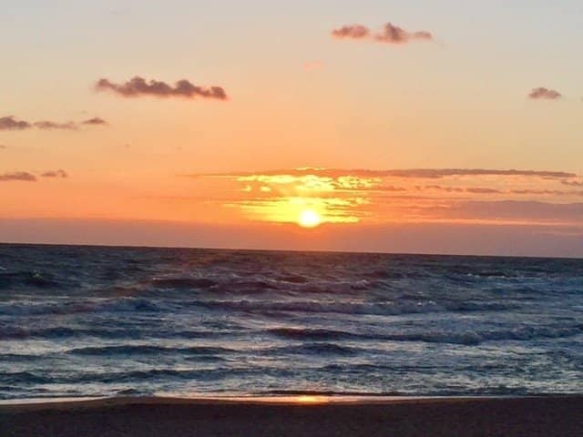 Seaside Forest Trails