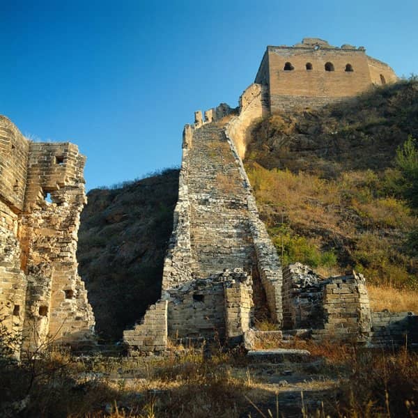 Gravity-Defying Acrobats