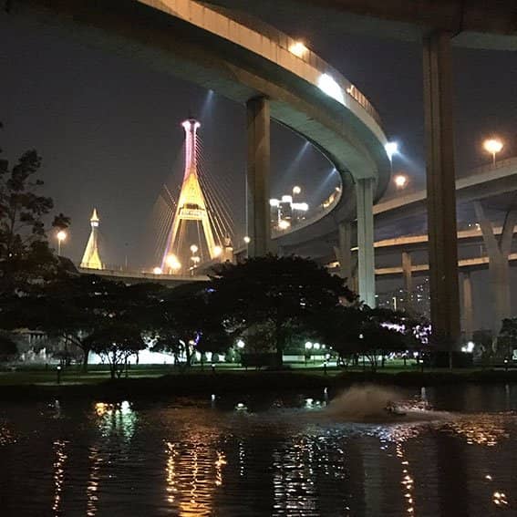 Resident Monitor Lizards