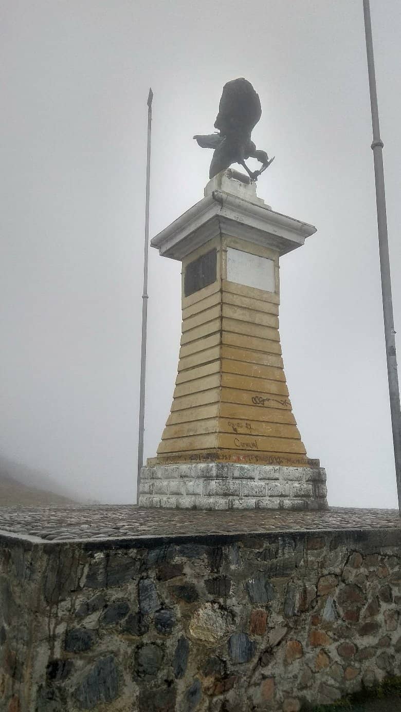Vertical photo