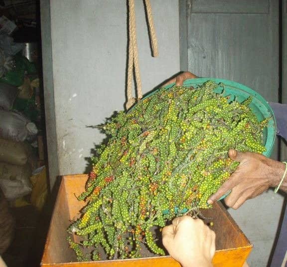 Ayurvedic Massage