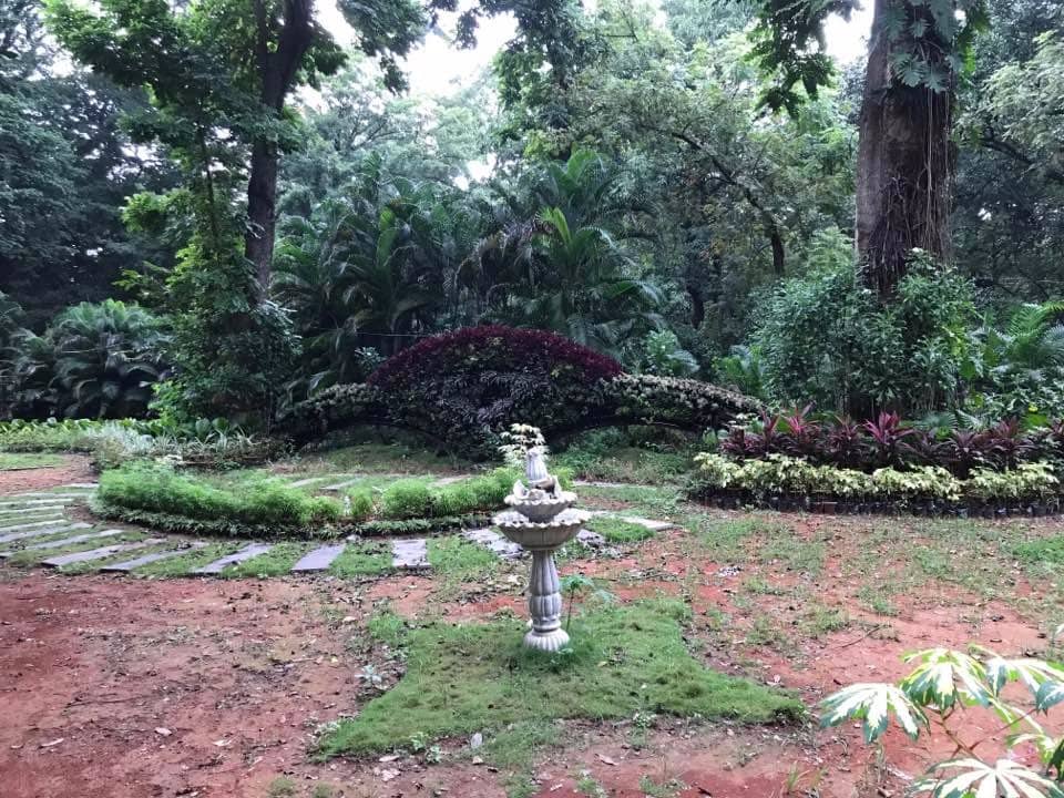 Children's Play Area