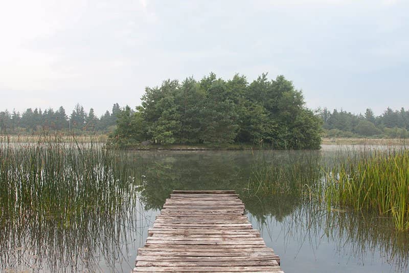 Walking & Cycling Trails