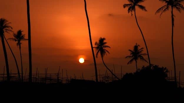 Sunset Serenity