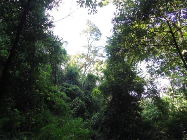 Imphal River Viewpoint