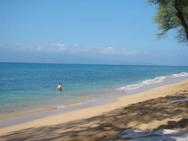 Vibrant Coral Reefs