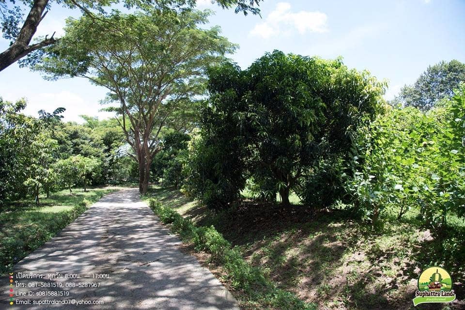 Waterfall Lunch Spot