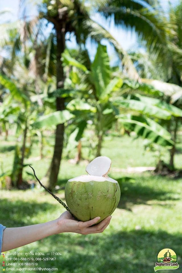 Orchard Tram Tour