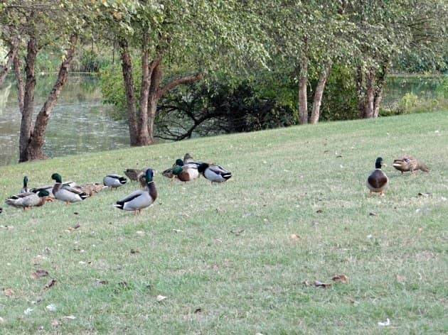 Picnic & Relaxation Spots