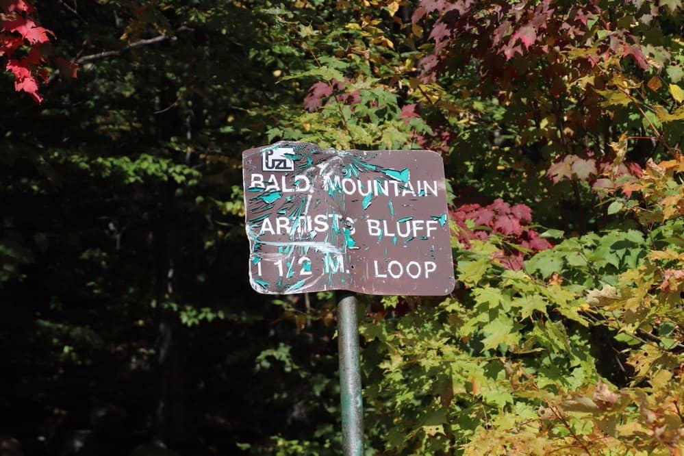 Artist's Bluff Overlook