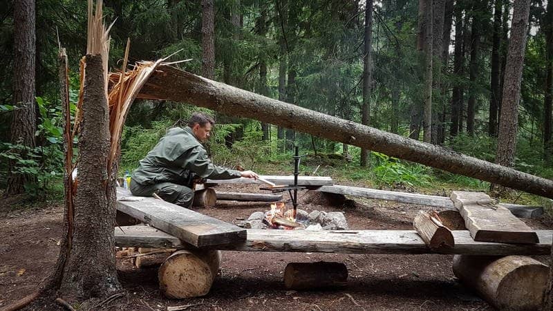 Dense Forests & Rocky Elevations