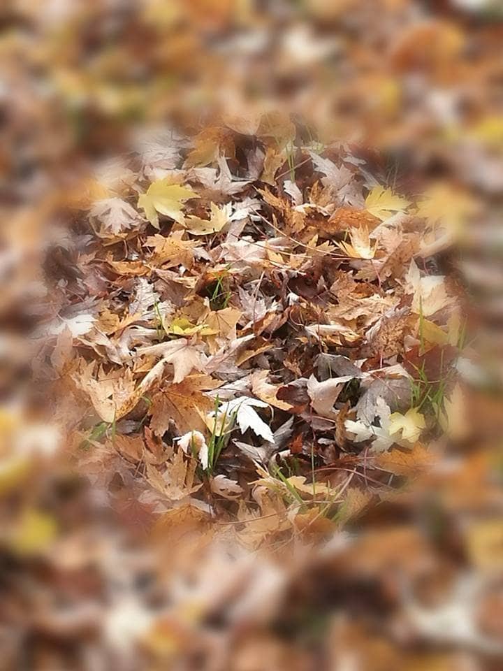 Community Gathering Space