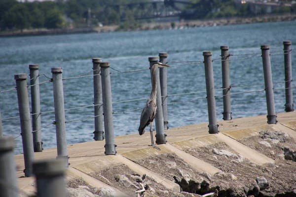 Vertical photo