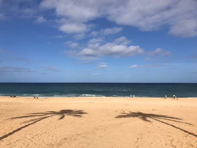 Summer Snorkeling Paradise