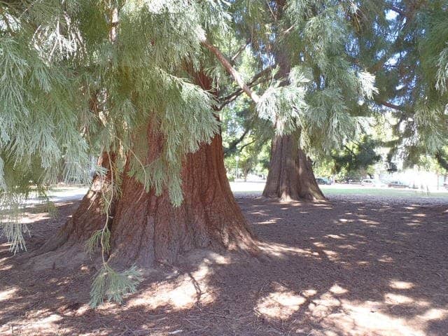 Beautifully Landscaped Grounds