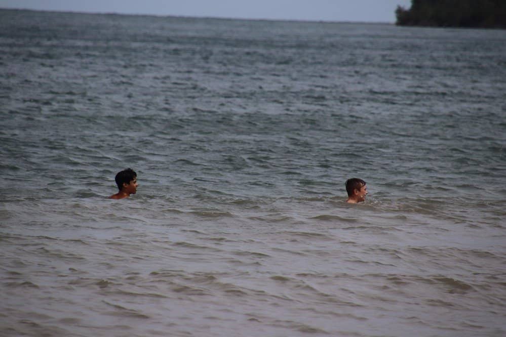 Sandy Shoreline