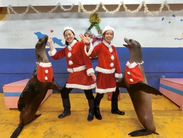 Otter Interactions